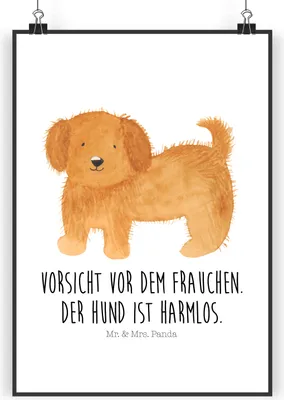 Produktbild von Mr. & Mrs. Panda Bild Hund Flauschig DIN A4 - Weiß - Geschenk, Kunstdruck, Niedlich, wanddeko, Wandbild, Plakat, Sprüche, drucke, Witzig, Hunde