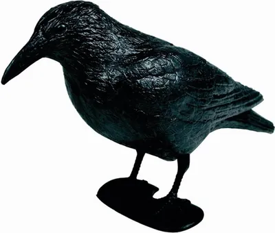 Image de Siena Garden Corbeau, plastique, 38 cm, avec tige + pieds, en polybag, noir
