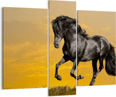 Produktbild von Bild auf Leinwand - Leinwandbild - Tiere Pferd Laufen Wiese - 95x80cm - Wand Bild - Wanddeko - Leinwanddruck - Bilder - Kunstdruck - Wanddekoration - Leinwand bilder - Wandkunst - CB95x80-2248