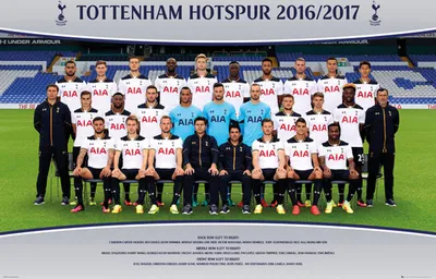 Produktbild von Tottenham - Poster - Team Photo 16/17