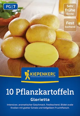 Produktbild von Kiepenkerl Pflanzkartoffel Glorietta Solanum tuberosum 10 Stück