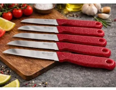 Produktbild von Roland Germany 6-teiliges Messerset mit ergonomischem Griff