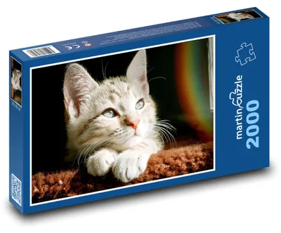 Zdjęcie produktu dla martinpuzzle - Puzzle 2000 - Urocze małe kociątko