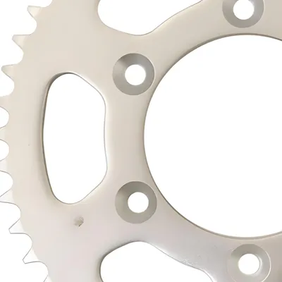 Zdjęcie produktu dla Zębatka RR2000/Spike 48 zębów