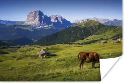 Produktbild von MuchoWow® Poster Kuh - Berg - Alpen 60x40 cm - Schlafzimmerdekoration