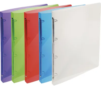 Produktbild von Exacompta 30x Ringbuch PP 500µ 4 Ringen Rücken 20mm A4 sortiert 51198E
