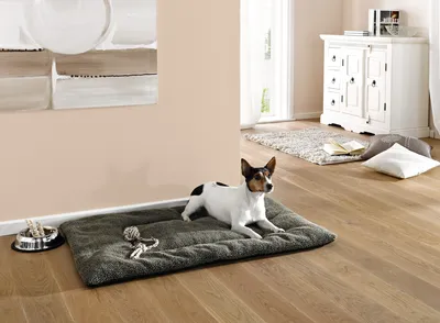 Produktbild von Tier Liegedecke Teddy 104x71cm braun – Hundedecke