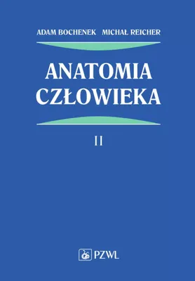Productafbeelding van Anatomia człowieka Tom 2
