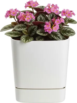 Produktbild von HowHomely | Blumentopf mit Untersetzer - Pflanzgefäß - creme - 16x16 cm - aus Recyclingmaterial - Übertopf - Pflanztopf
