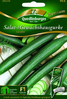 Produktbild von Quedlinburger Saatgut - Gewächshausgurken Saladin - Samen - 290239