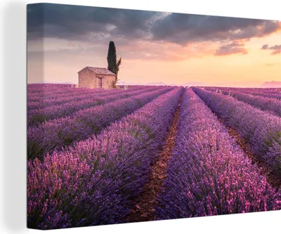 Produktbild von OneMillionCanvasses® - Leinwandbilder - 140x90 cm, Lavendel - Blumen - Lila - Feld, Wandbilder Kunstdruck Wanddekoration - Foto auf Leinwand - Gemälde auf Holzrahmen