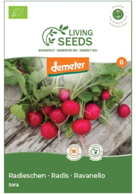Produktbild von Radieschen Sora 7.6g Saatgut von Living Seeds