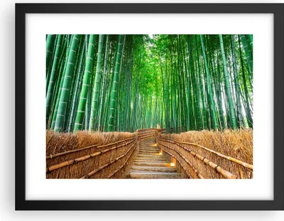 Produktbild von Gerahmtes Poster - Schwarzer Rahmen - Bambus Pflanze - 40x30 cm - Wand Bild - Wanddeko - Wandbilder - Kunstposter - Wandposter - Bilderrahmen - Bilder - Kunstdruck - Wandbild - P2BAA40x30-3979