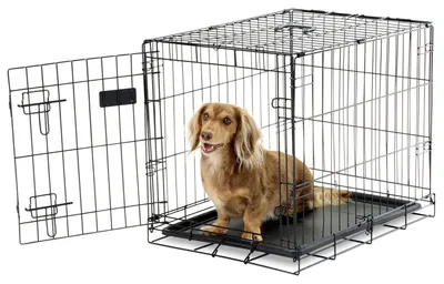 Productafbeelding van Carlson: veilig en compact, eenpersoonsbed, metalen transportkooi voor kleine honden