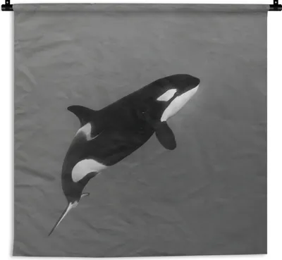 Produktbild von MuchoWow® Wandteppich Wandbehang Orca - Wasser - Tiere 60x60 cm Tapisserie Dekoration Wandtuch - Dekorationen - Wand Decke