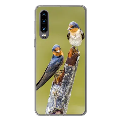 Produktbild von MuchoWow® Handyhülle Schutzhülle Hülle für Huawei P30 Vögel - Zweig - Porträt Silikon Softcase Handy Hülle - Kartenbesitzer