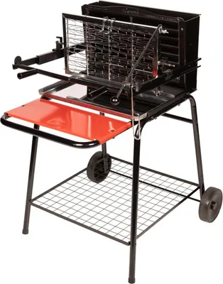 Image de Barbecue au charbon de bois avec foyer vertical RAYMOND