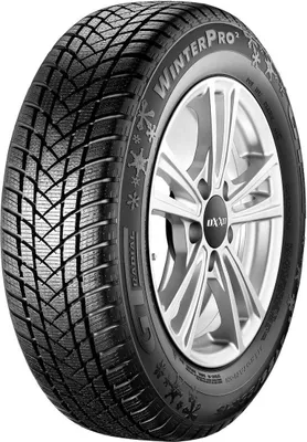 Obrázek produktu pro 215Champiro Winterpro 2 (215/55 R16 97H XL)