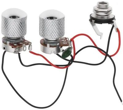 Productafbeelding van Gitaar Harnas met Schakelaar en Potentiometers