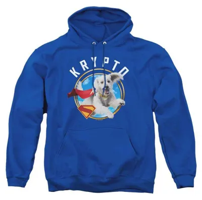 Immagine prodotto di Felpa con cappuccio "Superman - 2025" unisex, per uomo/donna, modello TV38515 (taglia M), colore blu reale, productTiles.product.images.aiGenerated