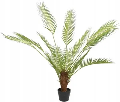 Produktbild von Grüne Palme Kunstpflanze in einem Topf 80x120 cm