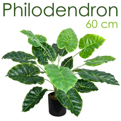 Image de Arum Taro Plante Artificielle Artificiel Plastique avec Pot 60cm Decovego