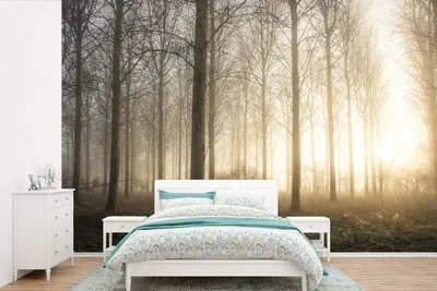 Produktbild von MuchoWow® Fototapete für Wohnzimmer oder Schlafzimmer Wandtapete Vinyl Motivtapete Wald - Sonne - Nebel - 390x260 cm - Papiertapete