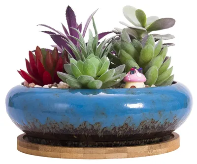 Image de Grand pot en céramique pour plantes succulentes, avec soucoupe, 18,5 cm