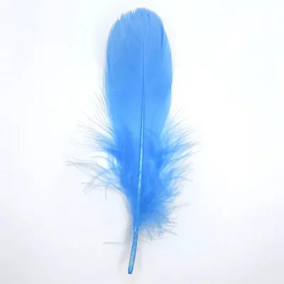 Immagine prodotto di Piume Piume d'oca, circa 15-20 cm, 10 pezzi, blu chiaro