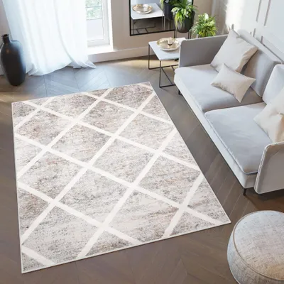 A living room scene with a rug, sofa, and coffee table.