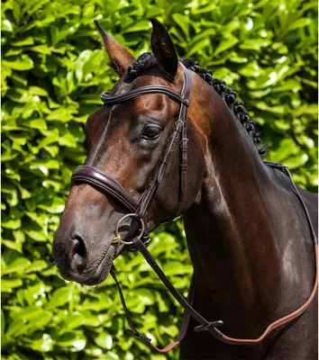 Productafbeelding van Premier Equine Verdura anatomische hoofdstel met bit, bruin, voor pony's