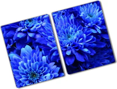 Produktbild von Tulup Glas Herdabdeckplatte - 2x40x52 cm - Glaskeramikkochfeld-Abdeckung Spritzschutz Glasabdeckplatte Kochplattenabdeckung und Schneidebrett - Zweiteilig - Blumen & Pflanzen - Blaue Aster - Blau