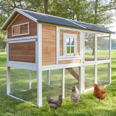 Produktbild von zooprinz Hühnerstall Alpenhof XXL Freilauf Nistkasten Wetterfest Massivholz 211x145x105cm (BxHxT)