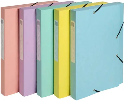Produktbild von Exacompta Cartobox Archivbox Aquarel DIN A4 Farben sortiert 10 Stück