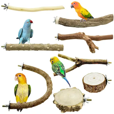 Imagen del producto de Barras de madera natural - 8 piezas para aves pequeñas