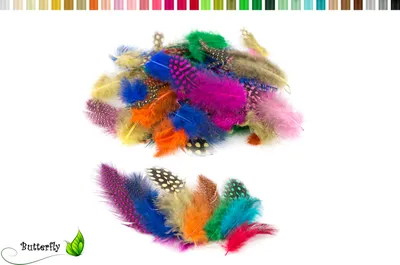 Produktbild von 3g Perlhuhnfedern ca. 3-10cm, Farbauswahl:mix / bunte Mischung