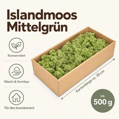 Islandmoos Mittelgrün, 500 g – Maße und Liefermenge auf einen Blick