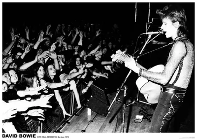 Obrázok produktu pre David BOWIE - Newcastle, 1973 - Plagát - 59x84 cm