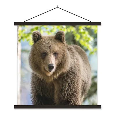 Produktbild von MuchoWow® Textilposter Bär - Braun - Wald 60x60 cm mit schwarzem Rahmen - Posteraufhänger