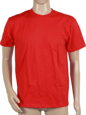 Produktbild von Fruit of the Loom Premium T-Shirt Rot, Größe:M