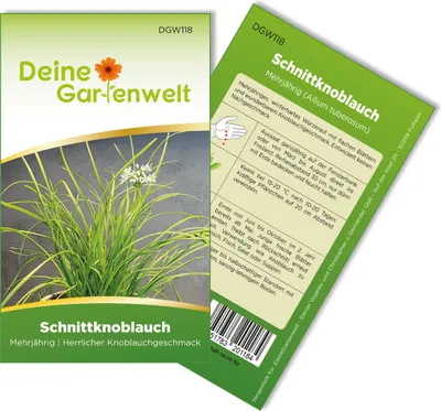 Schnittknoblauch Mehrjährig Samen - Allium tuberosum - Schnittknoblauchsamen - Kräutersamen - Saatgut für 70 Pflanzen