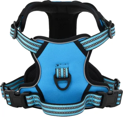 Produktbild von Cloris DesignMöbel Hundegeschirr Reflektierend Verstellbar Blau M - Sonstiges Hundezubehör DE808979