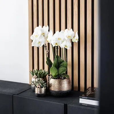 Image de Pot de fleurs en céramique cuivré – Pot décoratif Ø12cm – Cache-pot moderne brillant pour plantes d'intérieur, salon, cuisine, bureau et espaces intérieurs – Pot élégant pour plantes de taille moyenne