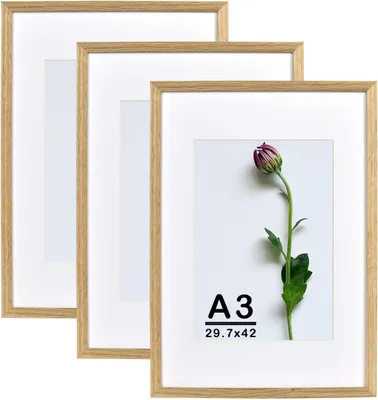 Obrázok produktu pre Fotorámiky 29.7 x 42 cm, súprava 3 ks, prírodné dubové drevo, akrylové sklo, na koláže