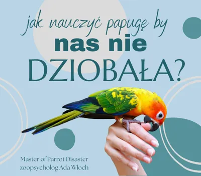 Zdjęcie produktu dla Poradnik ParrotPlanet - DZIOBANIE - Poradnik Początkującego  Papuziarza