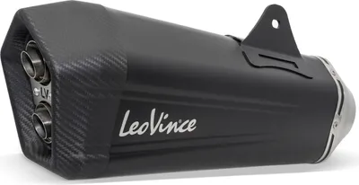Immagine prodotto di LeoVince silenziatore posteriore compatibile con BMW R 1250 R / RS, ricambio scarico, nero, destro per LV-12