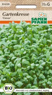 Produktbild von Gartenkresse Cresso | Kressesamen von Samen Pfann [MHD 01/2024]