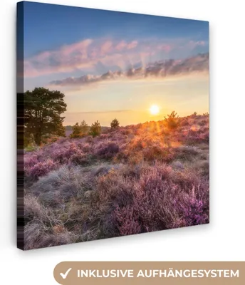Zdjęcie produktu dla MuchoWow® - Obraz na płótnie - Wrzosowisko o zachodzie słońca, fototapeta, dekoracja ścienna, obrazy do salonu, 90x90cm