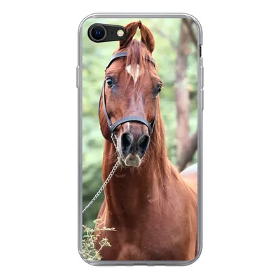 Produktbild von MuchoWow® Handyhülle Schutzhülle Hülle für iPhone 7 Pferd - Wald - Halfter Silikon Softcase Handy Hülle - Kartenhalter