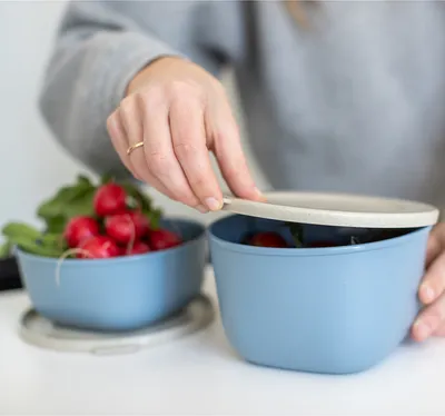 Productafbeelding van koziol Box CONNECT BOX 7274716, deksel, 700 ml, bloemendesign, blauw